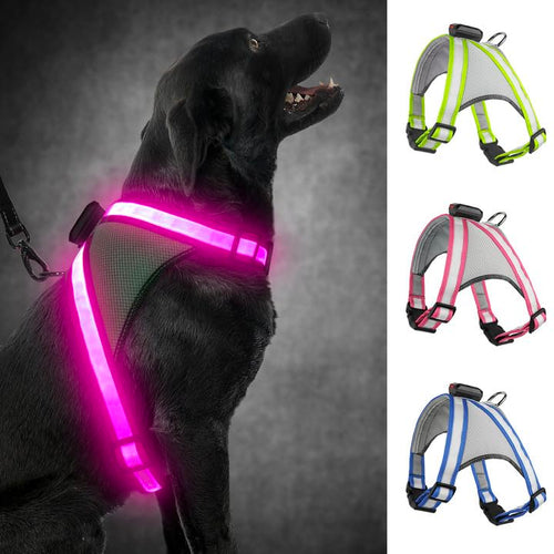 LED Dog Harness – USB Rechargeable Light-Up Vest (Night Safety)